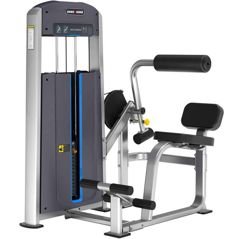 必一运动商用健身器材健身房专用 1010背部伸展训练器